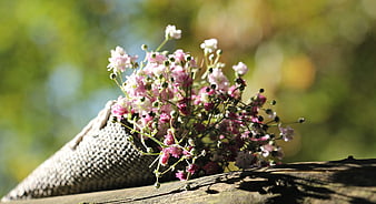 Pink Baby's Breath Flowers in Woven Cone on Wooden Log