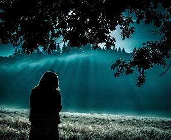 Silhouette of woman in misty forest with sun rays