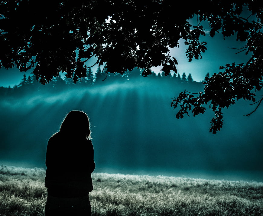 Silhouette of woman in misty forest with sun rays
