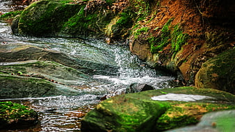 Mossy Rocks and Flowing Stream in Forest