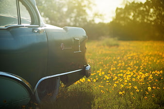 Vintage Green Car in a Field of Yellow Wildflowers