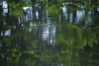 Abstract Green Water Reflections with Ripples