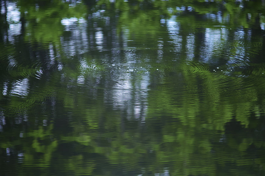 Abstract Green Water Reflections with Ripples