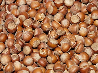 Close-up texture of roasted hazelnuts in shells