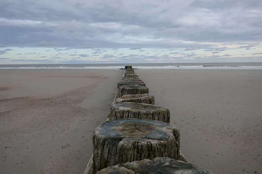 Weathered wooden posts leading to the ocean on a sandy beach