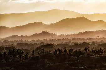 Golden Sunrise Over Tropical Mountain Forest Layers