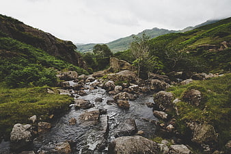 Serene Mountain Stream Flowing Through Rocky Highland Valley