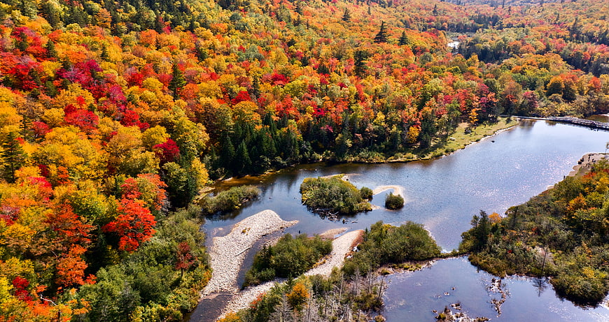 Aerial View of Vibrant Autumn Forest and Winding River