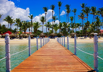 Wooden pier leading to tropical beach with palm trees