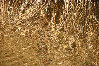 Golden wavy water reflection with distorted grass patterns