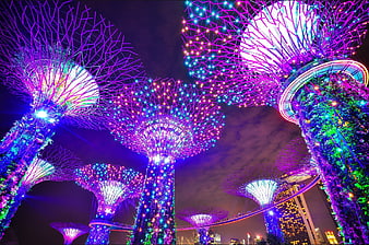 Gardens by the Bay Supertrees Night Light Show Singapore