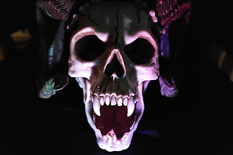 Dramatic Close-Up of a Horned Demon Skull in Dark Horror Setting