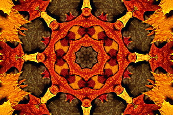 Autumn Leaf Kaleidoscope Pattern