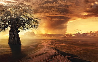 Epic Baobab Tree in Arid Landscape at Golden Sunset