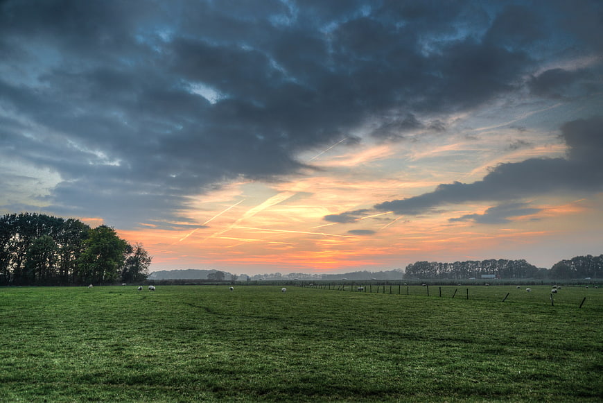 Dramatic sunset over green meadow with grazing sheep