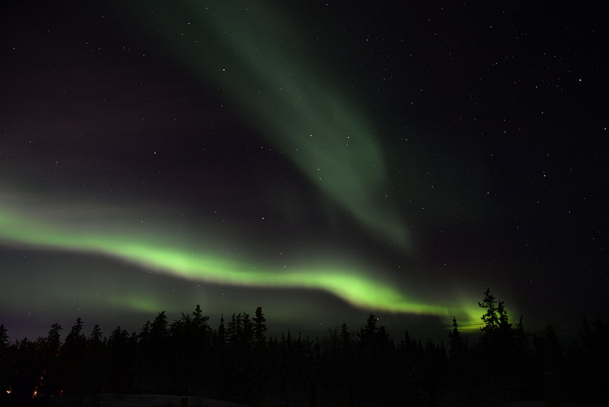 Green Aurora Borealis Over Silhouetted Forest at Night