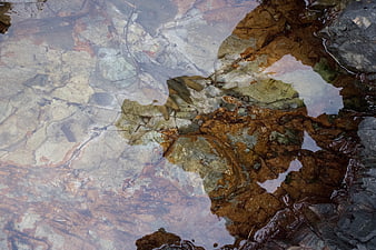 Abstract Texture of Wet Rocks and Clear Water Reflections
