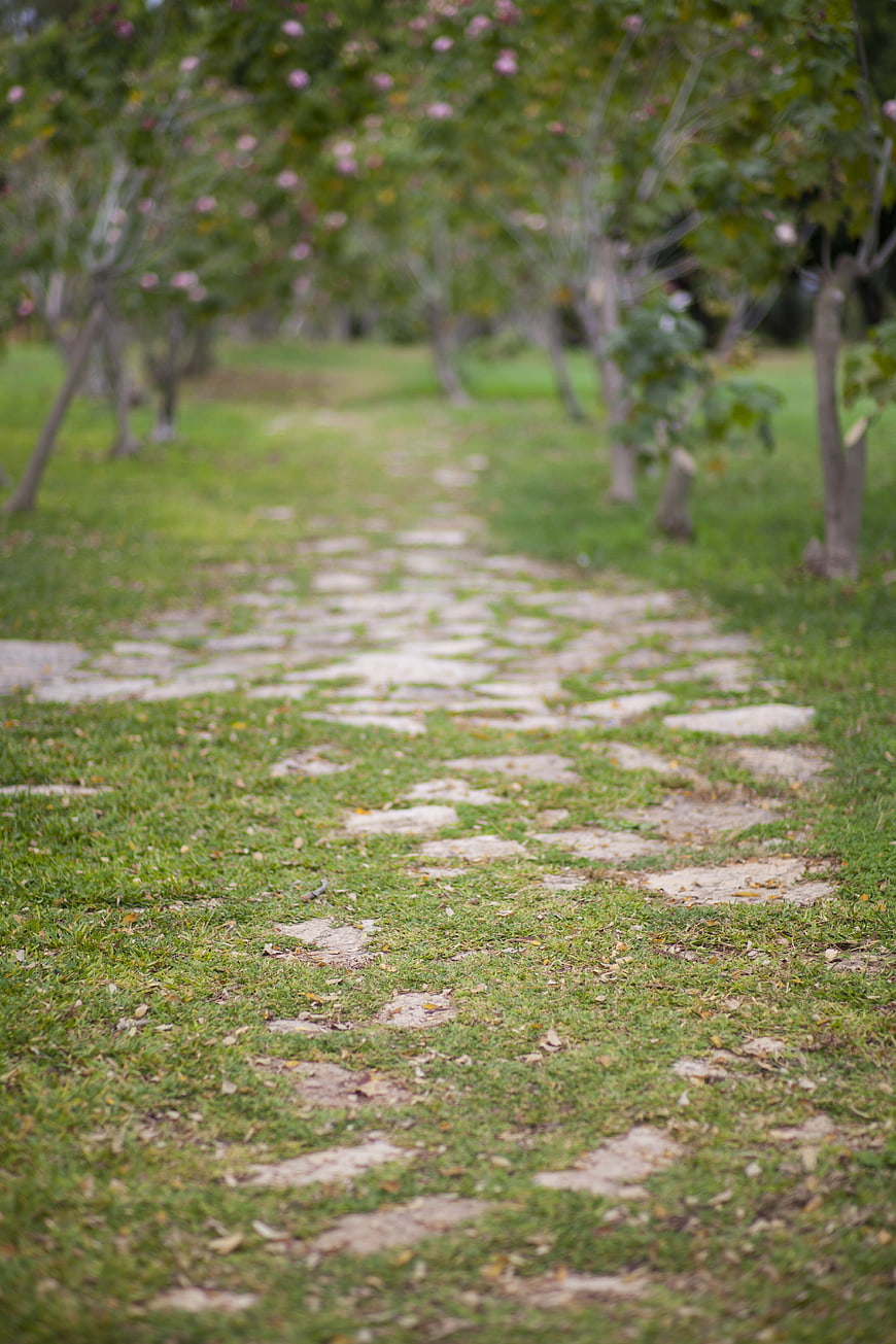 Stone Path Through Green Park with Blurred Trees