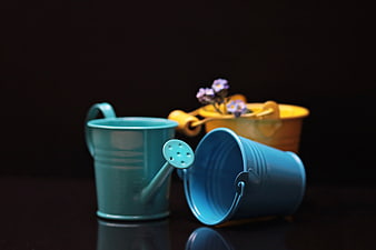 Colorful Miniature Buckets and Watering Can with Forget-Me-Not Flowers