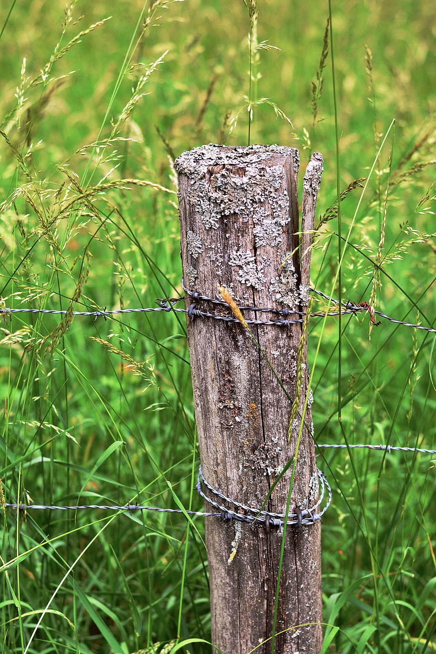 Weathered wooden fence post with barbed wire in a green meadow