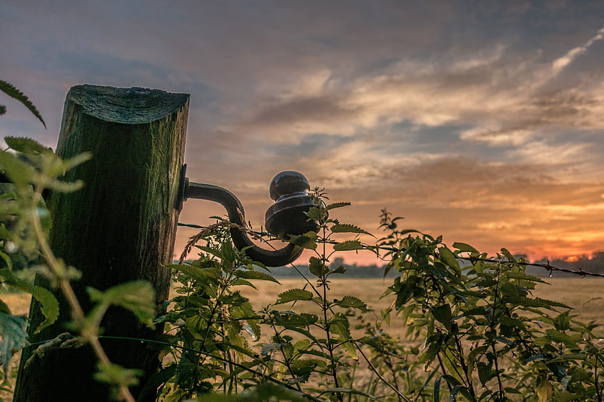 Rustic wooden fence post with insulator against a dramatic sunset sky