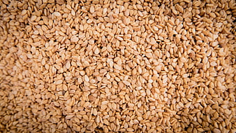 Close-up texture of raw beige sesame seeds filling the frame