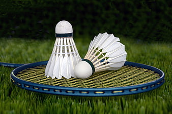 Badminton Shuttlecocks and Racket on Green Grass