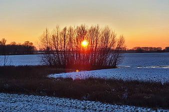 Winter Sunset Over Frozen Lake With Silhouetted Trees