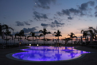Illuminated Hotel Pool at Twilight with Palm Trees