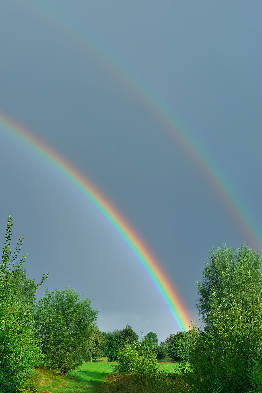 Double Rainbow Arching Over Green Meadow Landscape