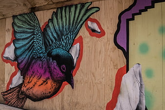Colorful bird graffiti art on wooden panel