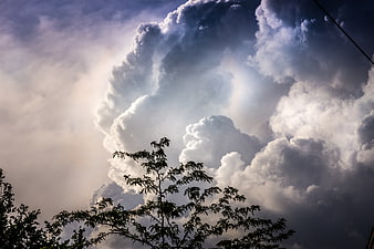Dramatic Storm Clouds with Sun Rays and Silhouetted Trees