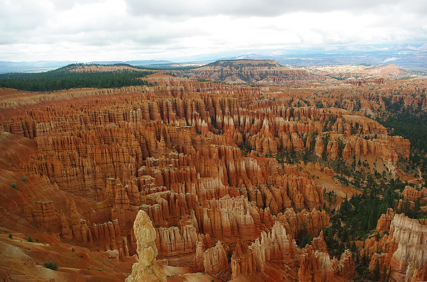Bryce Canyon Hoodoos and Red Rock Formations Landscape