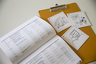 Career counseling materials with illustrated cards and booklet
