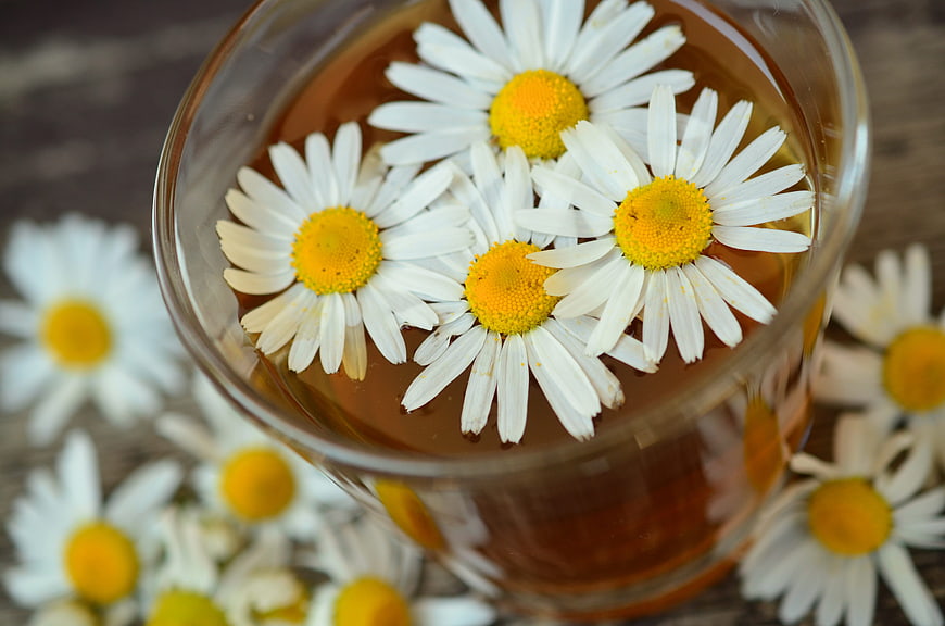 Chamomile Tea with Floating Flowers in Glass Cup