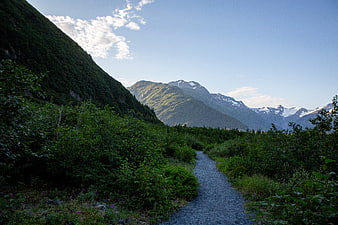 Gravel hiking trail winding through green forest to snow-capped mountains