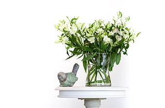 White Freesia Bouquet in Glass Vase on White Table
