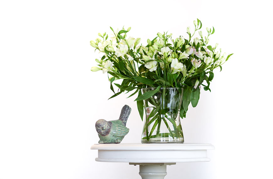 White Freesia Bouquet in Glass Vase on White Table