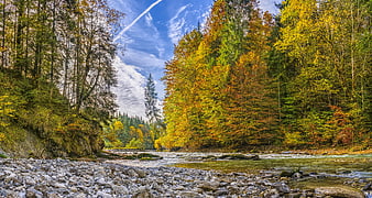 Autumn River Landscape in Bavarian Forest with Colorful Foliage