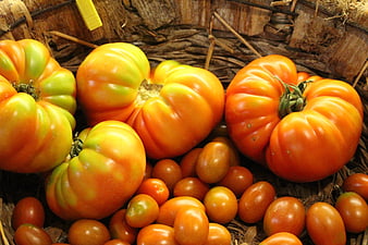 Heirloom and Cherry Tomatoes in Woven Basket