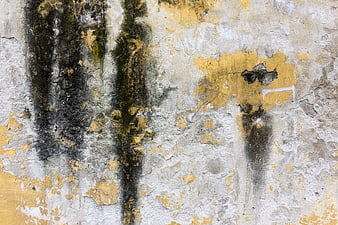 Weathered concrete wall with peeling yellow paint and black graffiti