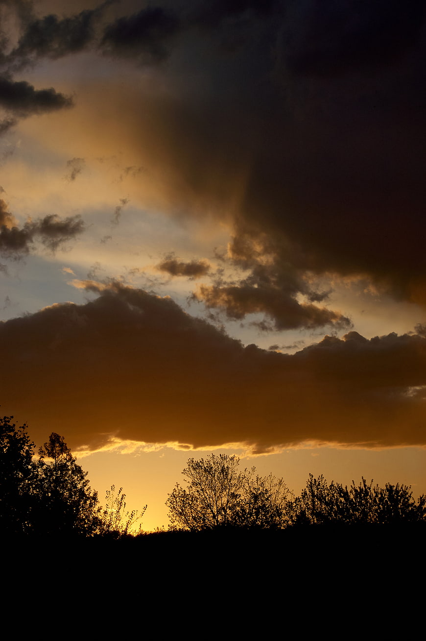 Dramatic Golden Sunset Sky with Dark Clouds and Tree Silhouette