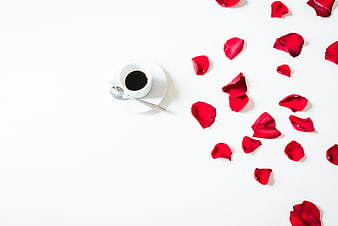 Flat lay of black coffee and red rose petals on white background