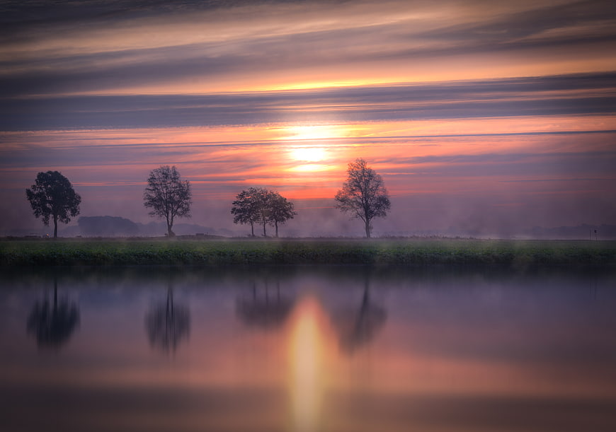 Serene Sunrise Landscape with Tree Reflections in Misty Water