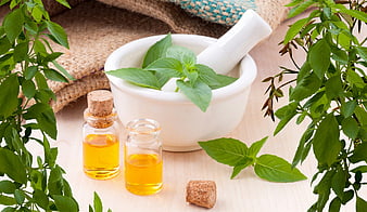 Fresh Basil Leaves and Essential Oil in Mortar and Pestle