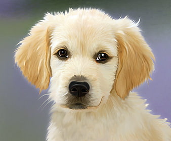 Digital Painting of Cute Golden Retriever Puppy Portrait