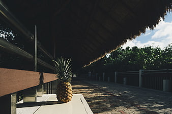 Lone pineapple on railing under tropical thatched roof