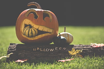 Carved Halloween Pumpkin with Small Gourd on Log