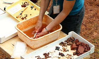 Archaeologist Sorting Artifacts in Water Basin at Excavation Site