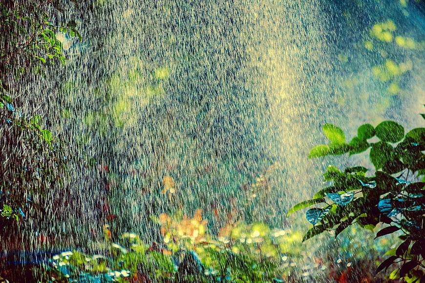 Backlit Water Spray in Garden with Green Leaves